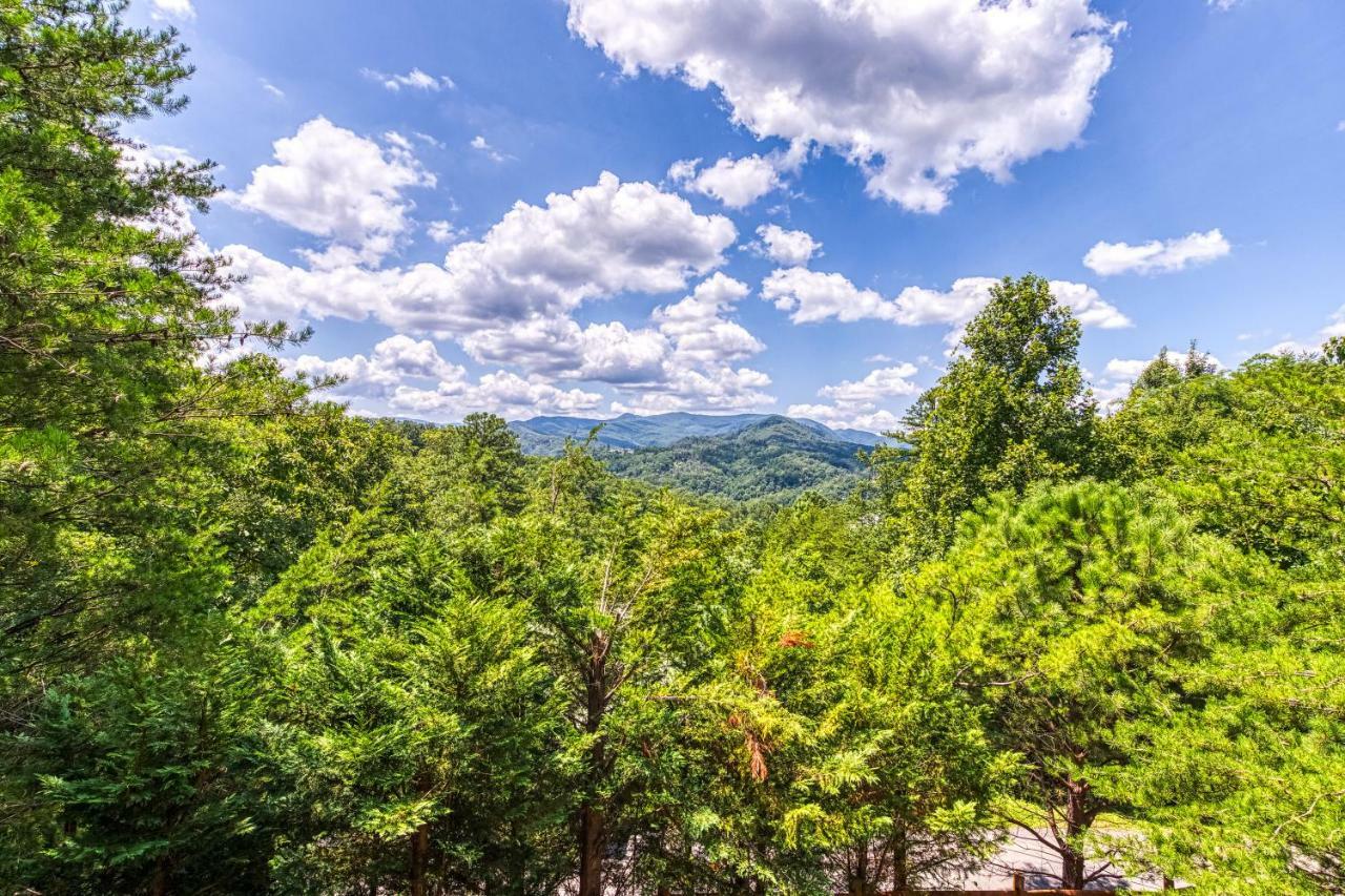 Bear Necessity Villa McCookville Dış mekan fotoğraf