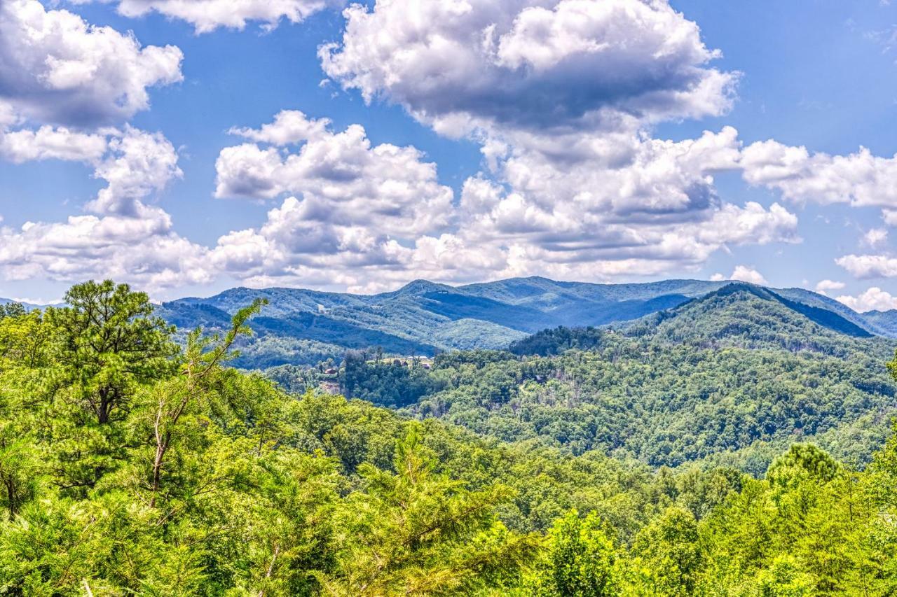 Bear Necessity Villa McCookville Dış mekan fotoğraf